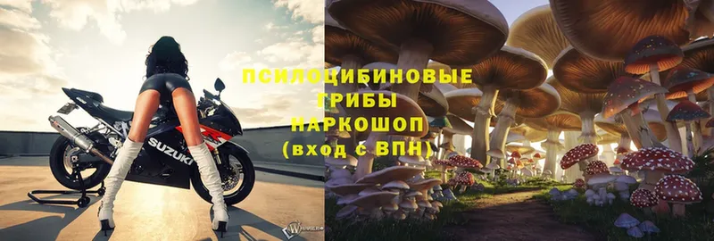 Галлюциногенные грибы Psilocybe  mega маркетплейс  Лобня 